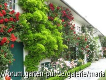 Eferding, Haus der Familie Gruber