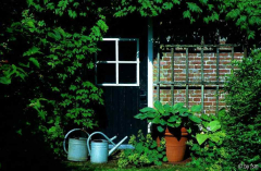 Bingerden 2 19-06-2009