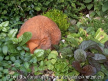 Terra Igel im Beet
