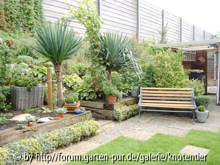 Palmen mit Bank