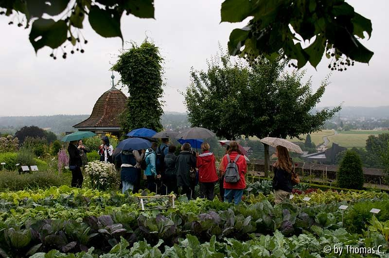 Puristen im Regen