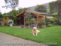 Hütte mit Hund