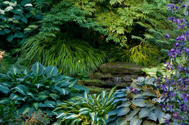 Garten im Juli