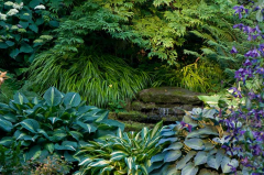 Garten im Juli