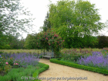 2009-06-14 14h11m26s P1130248k~0.JPG