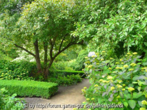 2009-06-14 15h09m55s P1130331k~0.JPG