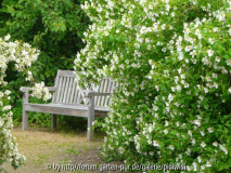 2009-06-14 15h07m34s P1130324k.JPG