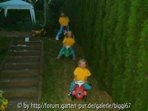 Gelbe Raser