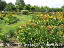 k-IMG_1156.jpg