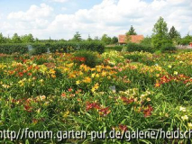 k-IMG_1155.jpg
