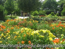 k-IMG_1152.jpg