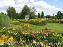 k-IMG_1151.jpg