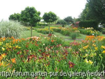 k-IMG_1150.jpg
