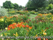 k-IMG_1149.jpg