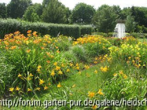 k-IMG_1148.jpg