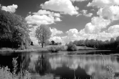 Molfsee IV
