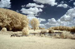 Molfsee II
