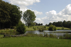 Molfsee I