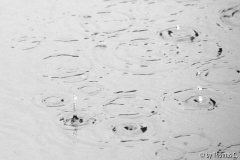 Raindrops keep falling ...