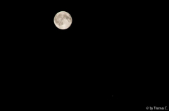 Vollmond und Venus