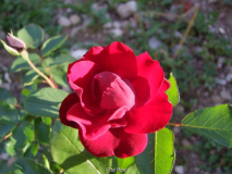 ?3