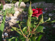 ?4