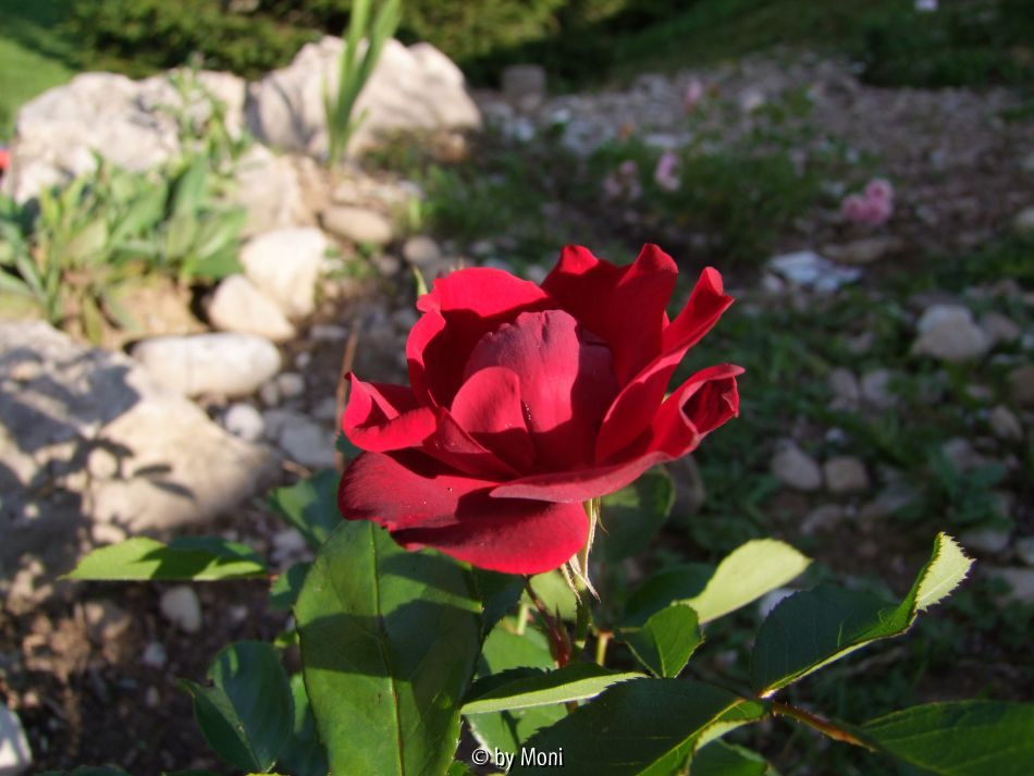 ?5