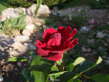 ?5