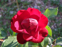 ?6