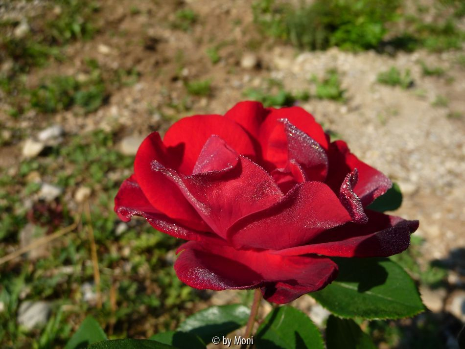?7