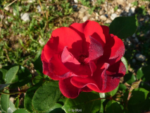 ?8