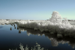 Wildes Moor II