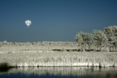 Wildes Moor I