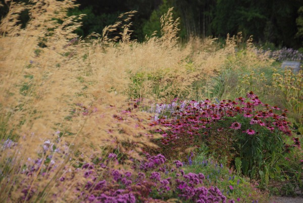 Wisley 9