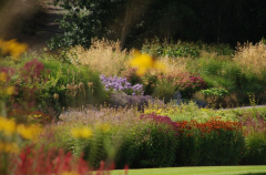 Wisley 10