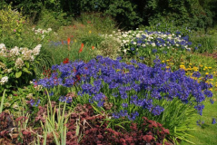 Wisley 1