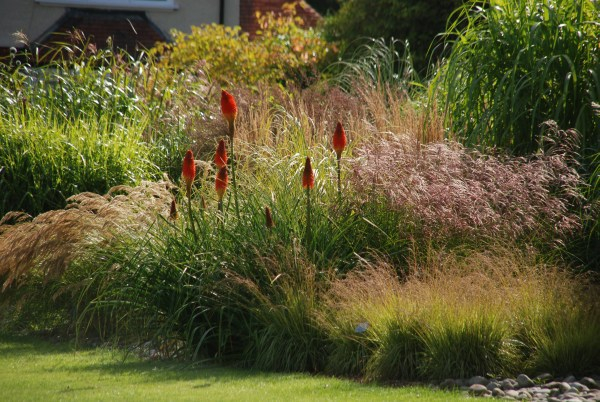 Wisley 3