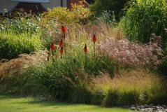Wisley 3