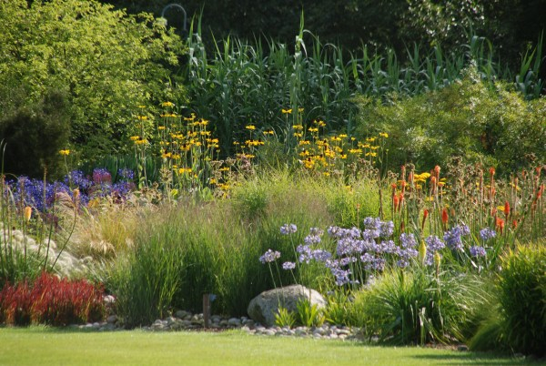 Wisley 2