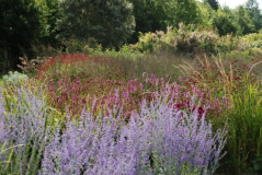 Wisley 20