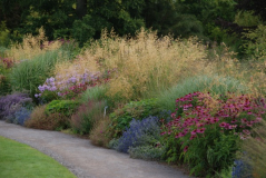 Wisley 12