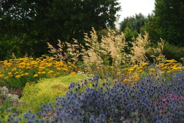 Wisley 11