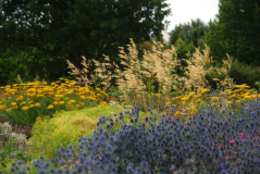Wisley 11