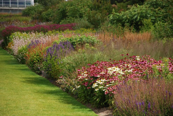 Wisley 27