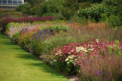 Wisley 27