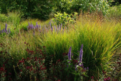 Wisley 23