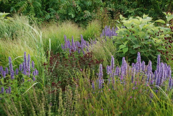 Wisley 22