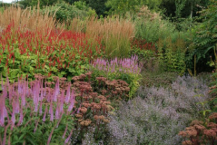 Wisley 21