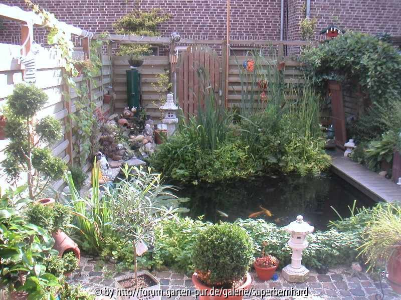 Unser Garten