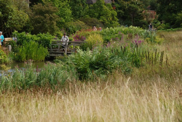 Wisley 40
